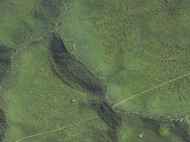 Aerial image of Moshannon State Forest roadside campsite Medix Run 008