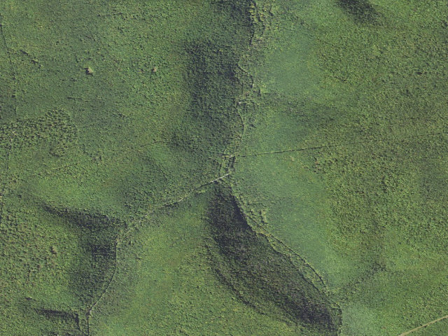Aerial image of Moshannon State Forest roadside campsite Medix Run 006