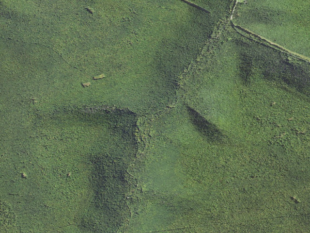 Aerial image of Moshannon State Forest roadside campsite Medix Run 004