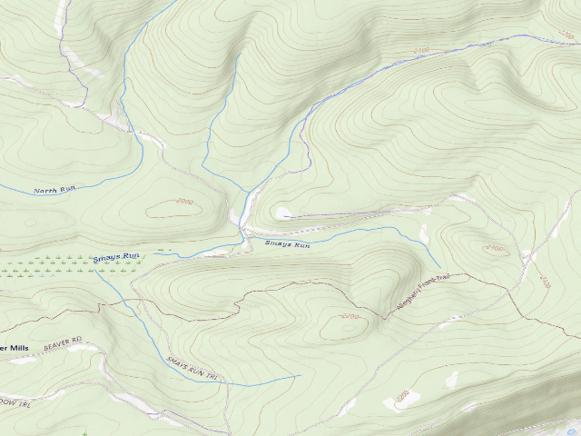 USGS topographic map of Moshannon State Forest roadside campsite North Run 004
