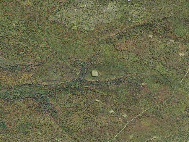 Aerial image of Moshannon State Forest roadside campsite North Run 002 (North Run Equine Camping Area)