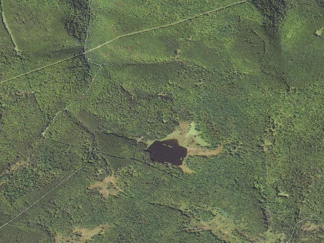 Aerial image of Moshannon State Forest roadside campsite Shaggers Inn 001 (Shaggers Inn Camping Area)