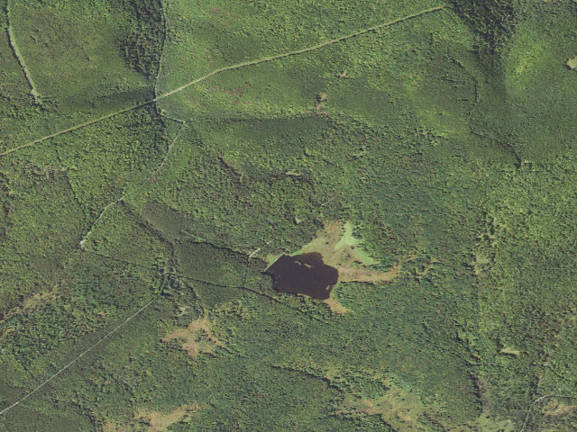 Aerial image of Moshannon State Forest roadside campsite Shaggers Inn 002 (Shaggers Inn Camping Area)