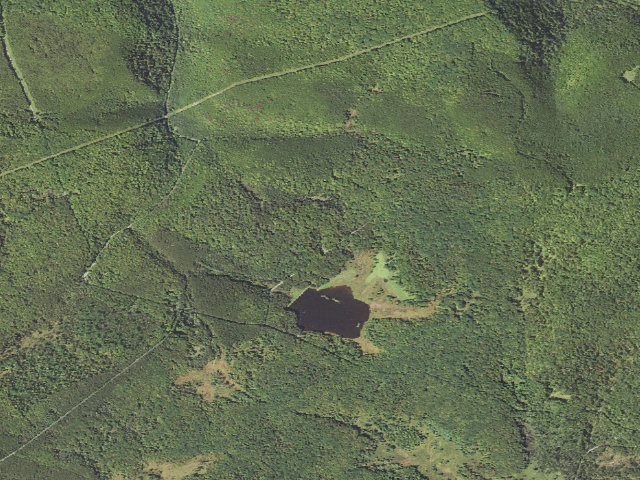 Aerial image of Moshannon State Forest roadside campsite Shaggers Inn 003 (Shaggers Inn Camping Area)