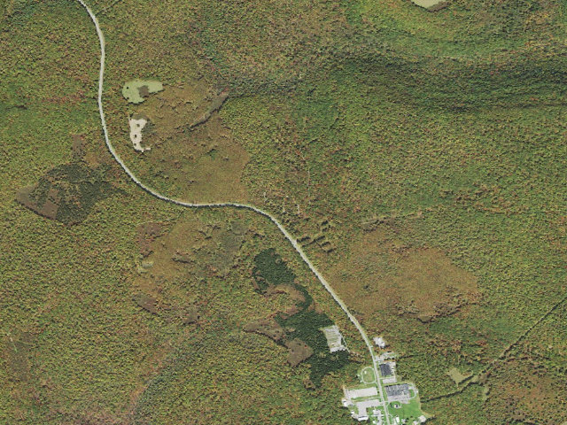 Aerial image of Moshannon State Forest roadside campsite Yellow Snake 001 (Quehanna Reservoir Rd Equestrian Camping)