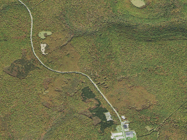 Aerial image of Moshannon State Forest roadside campsite Yellow Snake 005 (Quehanna Reservoir Rd Equestrian Camping)