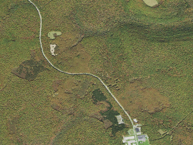 Aerial image of Moshannon State Forest roadside campsite Yellow Snake 002 (Quehanna Reservoir Rd Equestrian Camping)