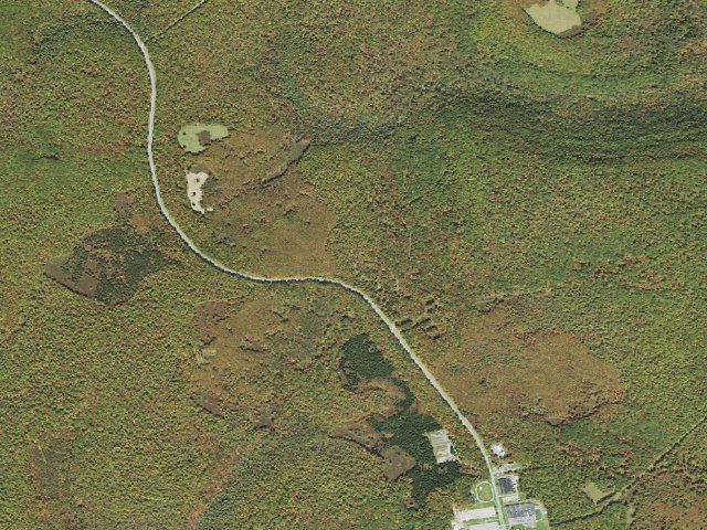 Aerial image of Moshannon State Forest roadside campsite Yellow Snake 003 (Quehanna Reservoir Rd Equestrian Camping)
