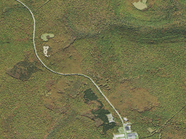 Aerial image of Moshannon State Forest roadside campsite Yellow Snake 004 (Quehanna Reservoir Rd Equestrian Camping)