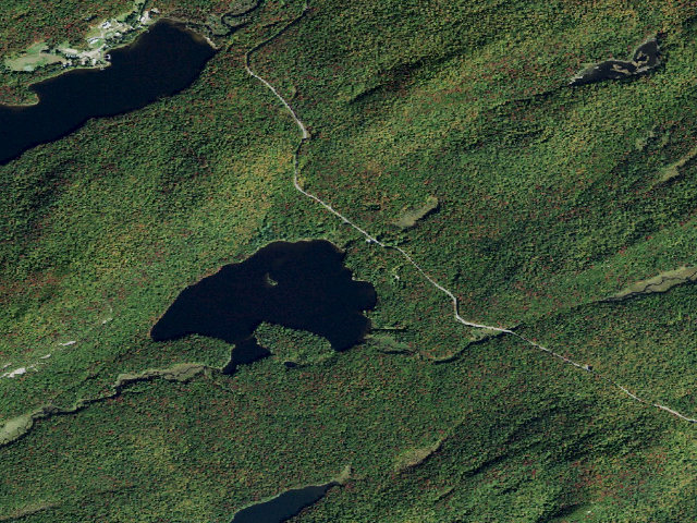 Aerial image of Moss Lake Campsite #1 (Fulton Chain Wild Forest)