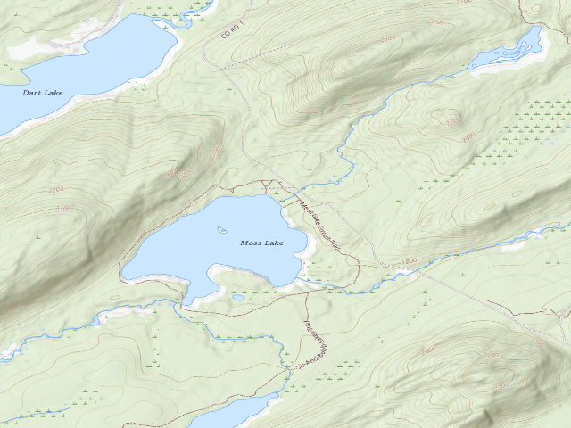 USGS topographic map of Moss Lake Campsite #1 (Fulton Chain Wild Forest)