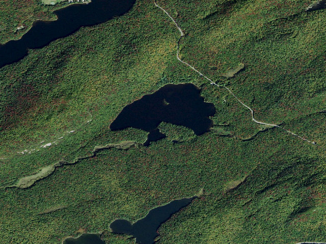 Aerial image of Moss Lake Campsite #4 (Fulton Chain Wild Forest)