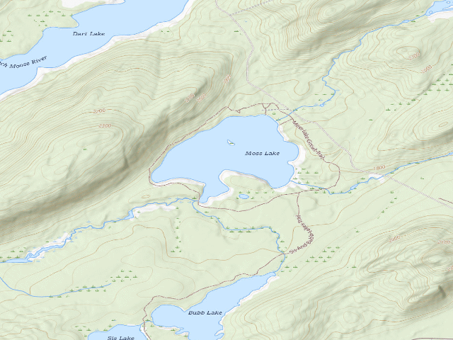 USGS topographic map of Moss Lake Campsite #4 (Fulton Chain Wild Forest)