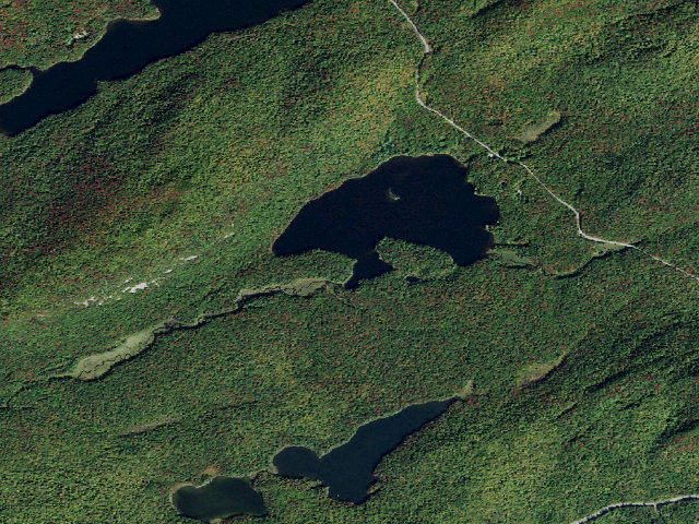 Aerial image of Moss Lake Campsite #5 (Fulton Chain Wild Forest)
