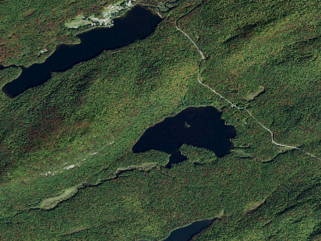 Aerial image of Moss Lake Campsite #6 (Fulton Chain Wild Forest)
