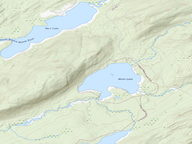 USGS topographic map of Moss Lake Campsite #6 (Fulton Chain Wild Forest)