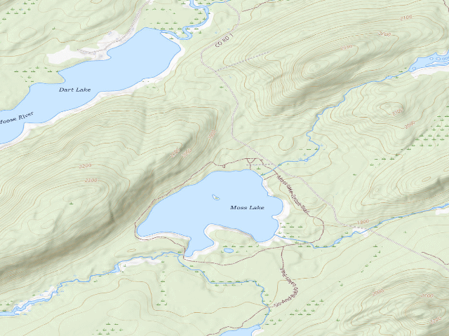 USGS topographic map of Moss Lake Campsite #7 Ada Accessible (Fulton Chain Wild Forest)