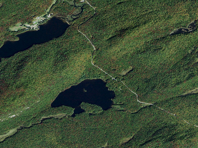 Aerial image of Moss Lake Campsite #8 Ada Accessible (Fulton Chain Wild Forest)