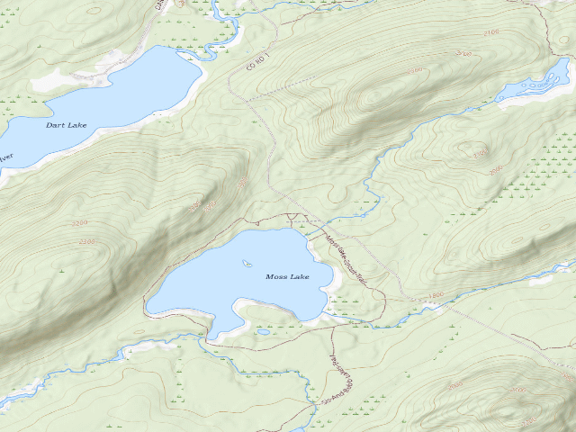 USGS topographic map of Moss Lake Campsite #8 Ada Accessible (Fulton Chain Wild Forest)