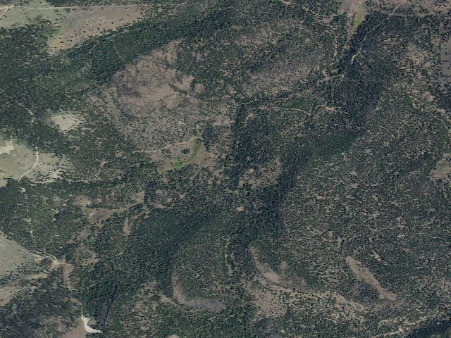 Aerial image of Moss Meadow