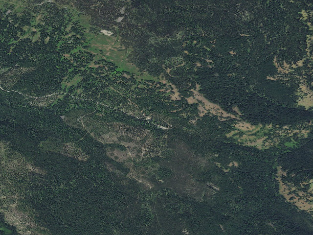 Aerial image of Moss Springs Campground