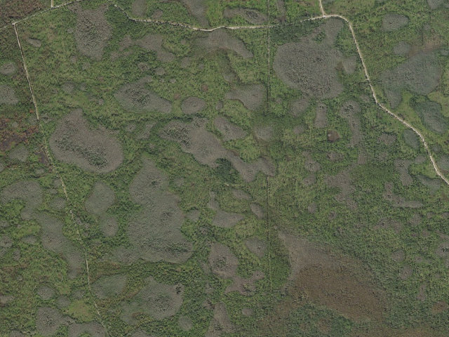 Aerial image of Mott Hammock (Green Swamp Wilderness Preserve - East Tract)