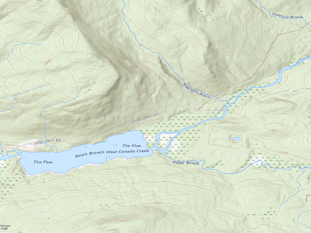 USGS topographic map of Mountain Home Road #1 (Ferris Lake Wild Forest)