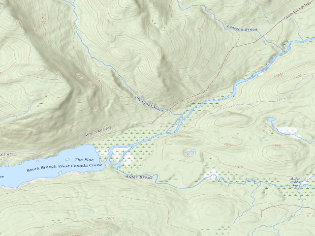 USGS topographic map of Mountain Home Road #2 (Ferris Lake Wild Forest)
