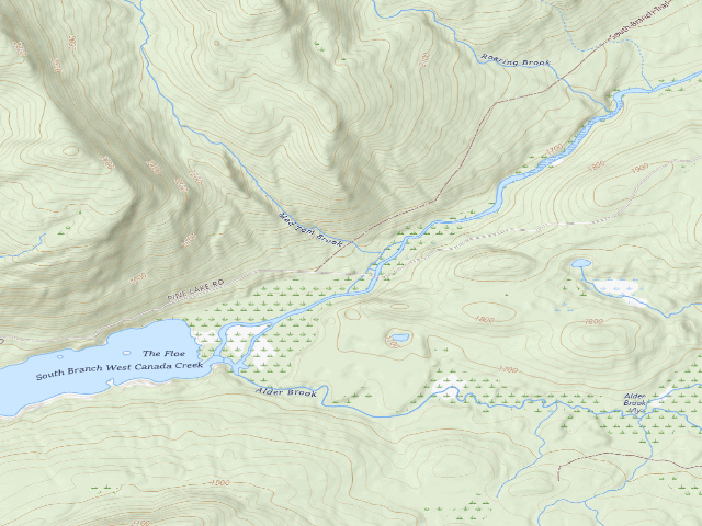 USGS topographic map of Mountain Home Road #3 (Ferris Lake Wild Forest)