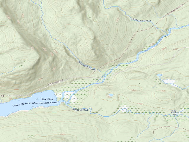 USGS topographic map of Mountain Home Road #4 (Ferris Lake Wild Forest)