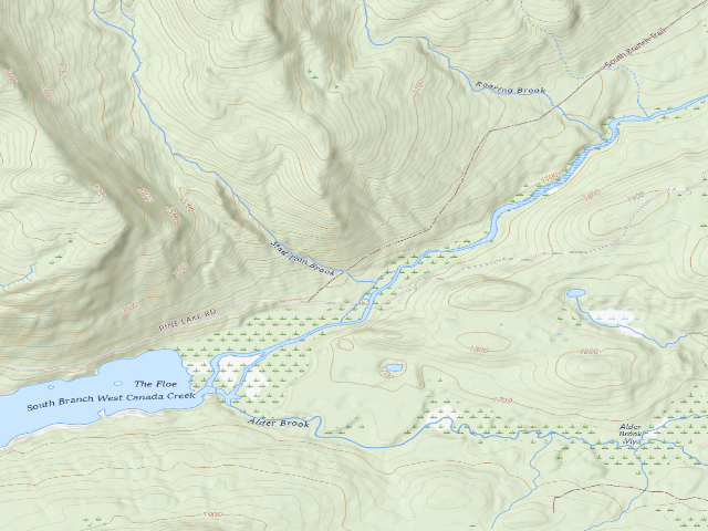 USGS topographic map of Mountain Home Road #6 (Ferris Lake Wild Forest)