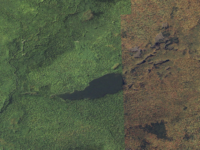 Aerial image of Mountain Pond Shelter