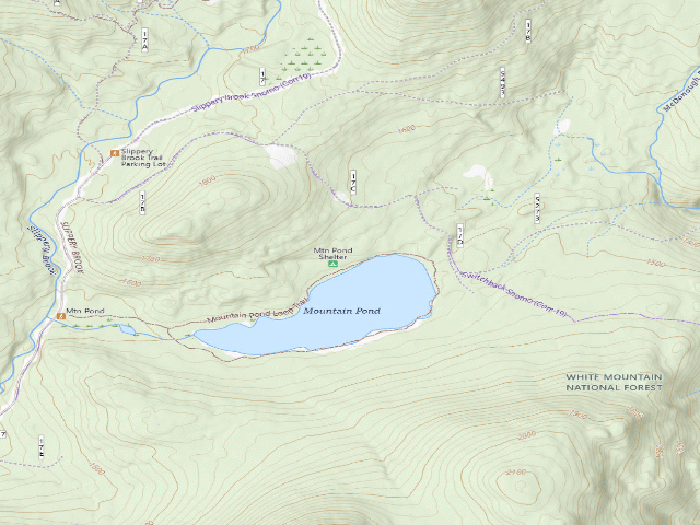 USGS topographic map of Mountain Pond Shelter