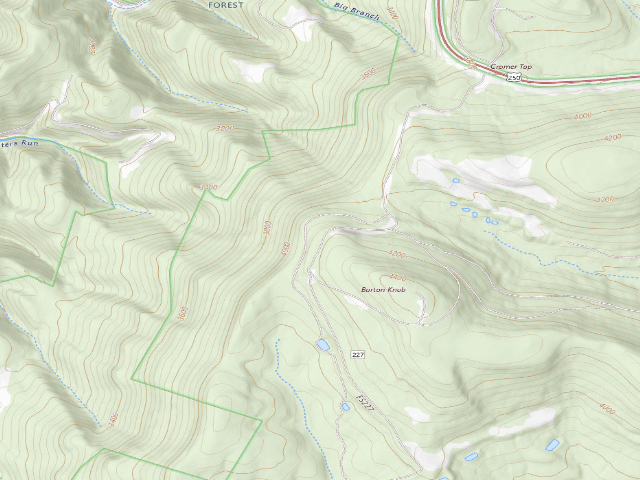 USGS topographic map of Mower Basin Dispersed