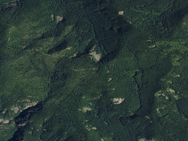Aerial image of Mowich Camp