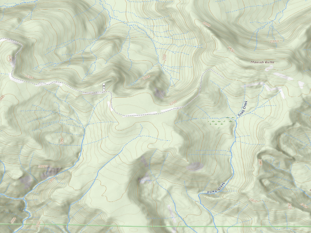 USGS topographic map of Mowich Camp