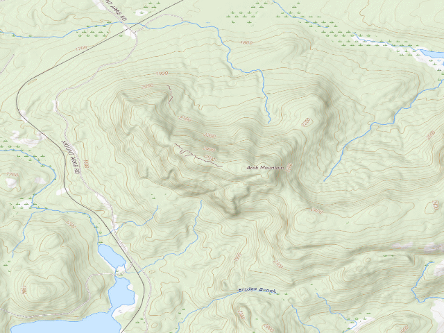 USGS topographic map of Mt Arab Campsite (Horseshoe Lake Wild Forest)