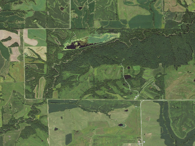 Aerial image of Mt Ayr WMA