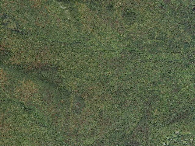 Aerial image of Mt. Mansfield State Forest - Beaver Meadow primitive camping area
