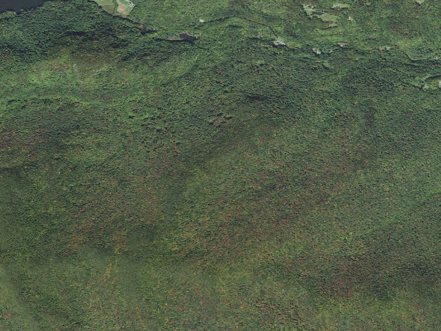 Aerial image of Mt. Mansfield State Forest - Burt Nebraska primitive camping area