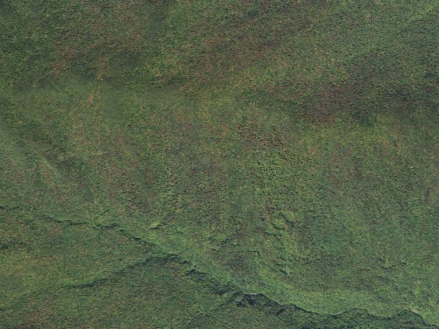 Aerial image of Mt. Mansfield State Forest - Cotton Brook primitive camping area