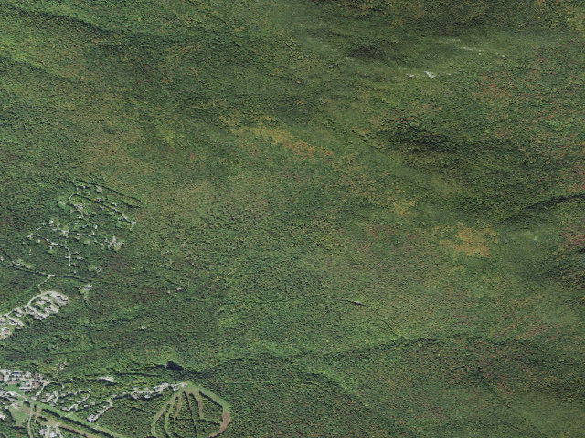 Aerial image of Mt. Mansfield State Forest - Morse primitive camping area