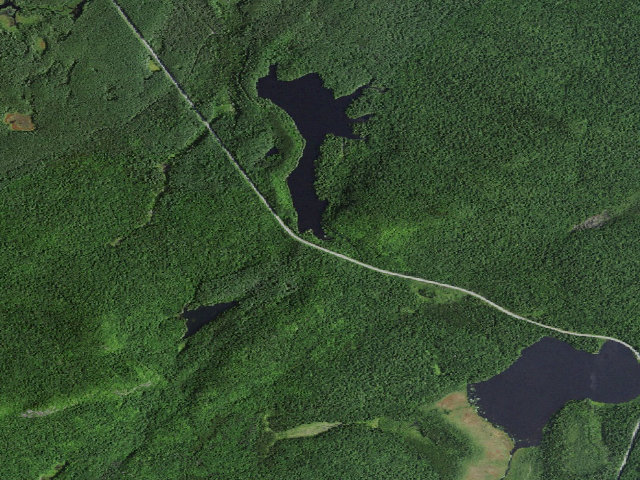 Aerial image of Mtn. Pond Campsite #1 (Debar Mountain Wild Forest)