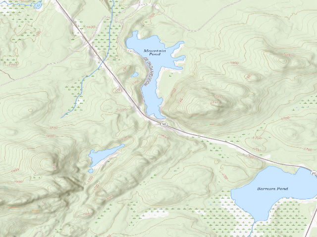 USGS topographic map of Mtn. Pond Campsite #1 (Debar Mountain Wild Forest)