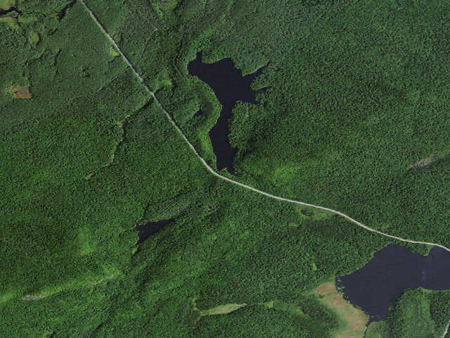 Aerial image of Mtn. Pond Campsite #2 (Debar Mountain Wild Forest)