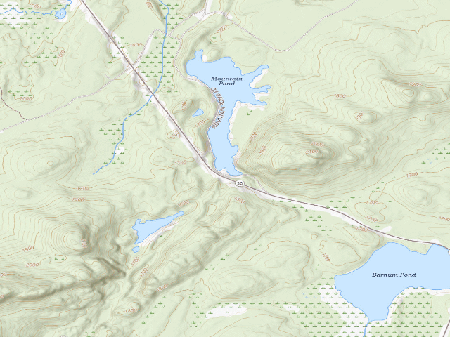 USGS topographic map of Mtn. Pond Campsite #2 (Debar Mountain Wild Forest)