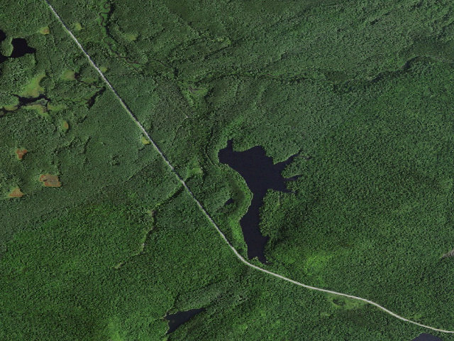 Aerial image of Mtn. Pond Campsite #3 (Debar Mountain Wild Forest)