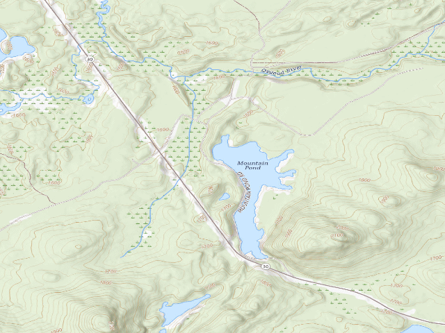 USGS topographic map of Mtn. Pond Campsite #3 (Debar Mountain Wild Forest)