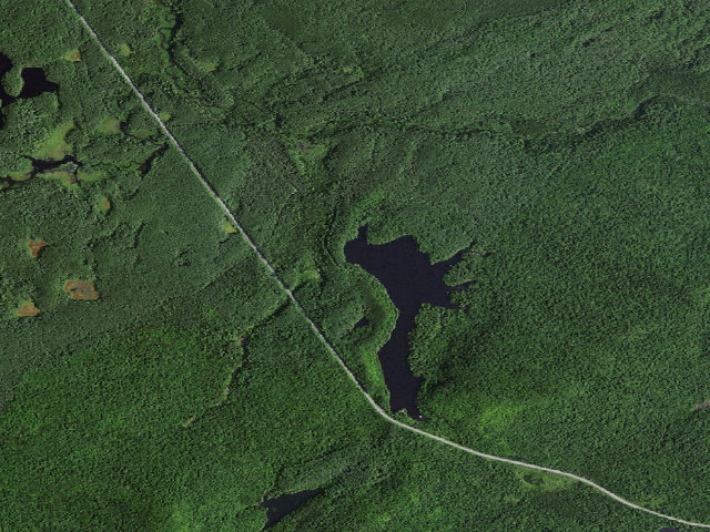 Aerial image of Mtn. Pond Campsite #4 (Debar Mountain Wild Forest)