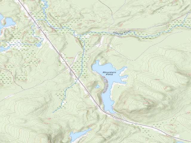 USGS topographic map of Mtn. Pond Campsite #4 (Debar Mountain Wild Forest)